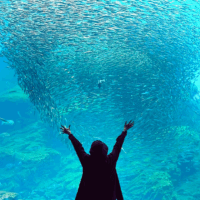 著者Lidiaの写真