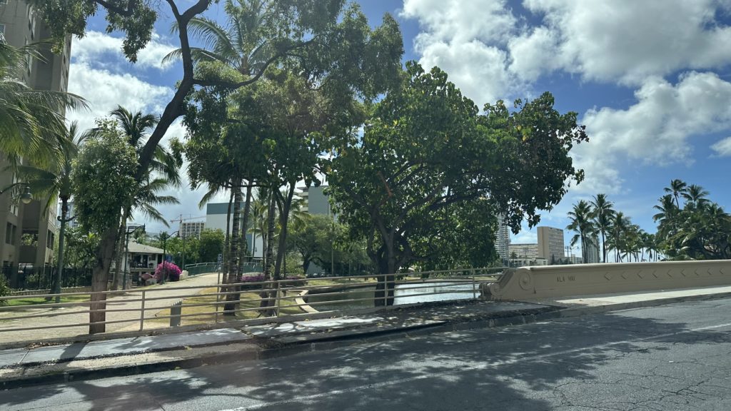 HANA TAXIの車窓から見たホノルルの街並み。南国らしいヤシの木と青空が広がる景色。