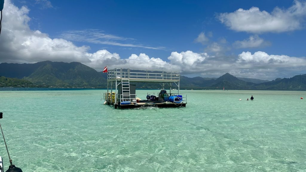 カネオヘ湾のサンドバーに浮かぶポンツーン。透き通った海に浮かぶ白いデッキが美しい風景