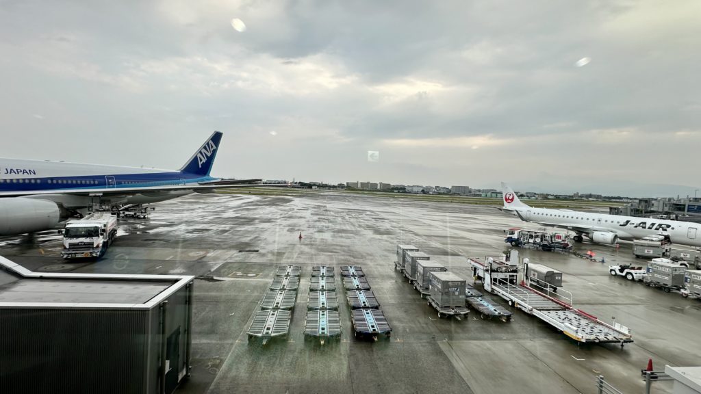 ANAとJALの両方が見渡せる連絡通路の窓からの眺め