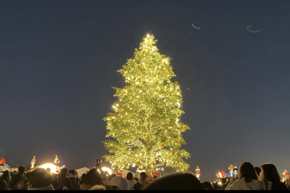 横浜の赤レンガで開催のクリスマスマーケットのクリスマスツリー