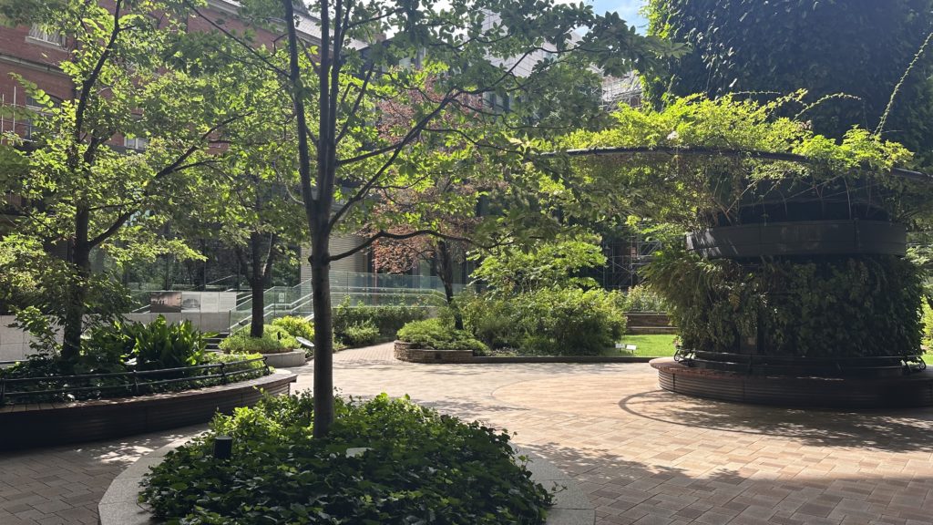 東京丸の内にあるイタリアンレストラン「A16」のテラス席から見えるお庭