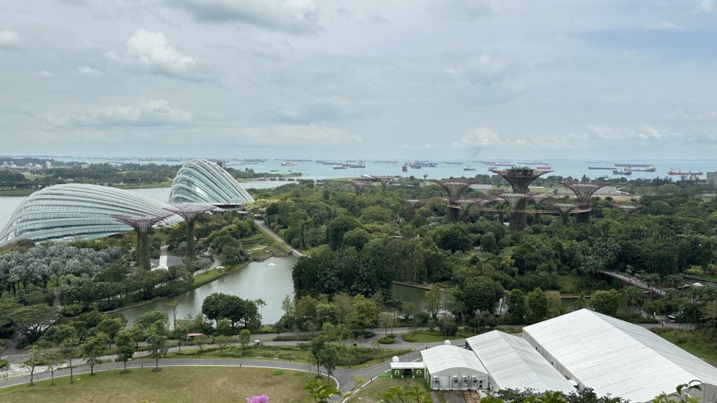 マリーナベイ・サンズ18階のガーデンビュー客室から見たガーデンズ・バイ・ザ・ベイの絶景。
