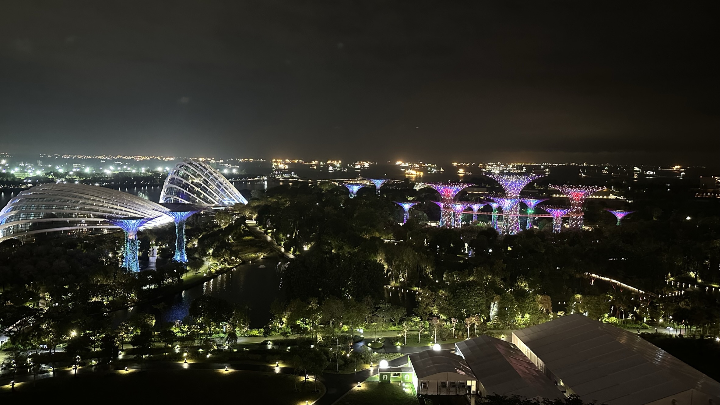 マリーナベイ・サンズのテラスから見たガーデン・ラプソディ（Garden Rhapsody）｜音と光が織りなす幻想的な夜のショー