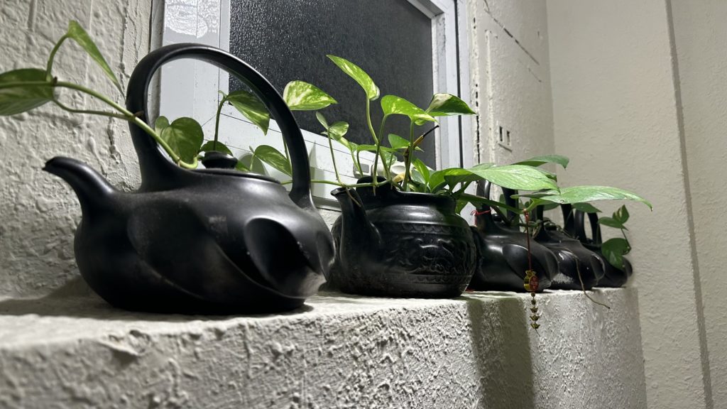 海悦楼景観茶房の階段踊り場に飾られている茶器の鉢植え